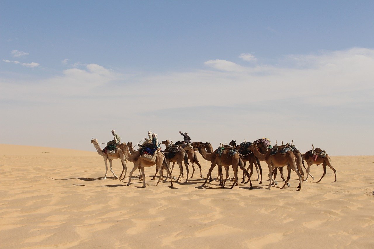 7. Chad: Overcoming Economic and Geographical Hurdles