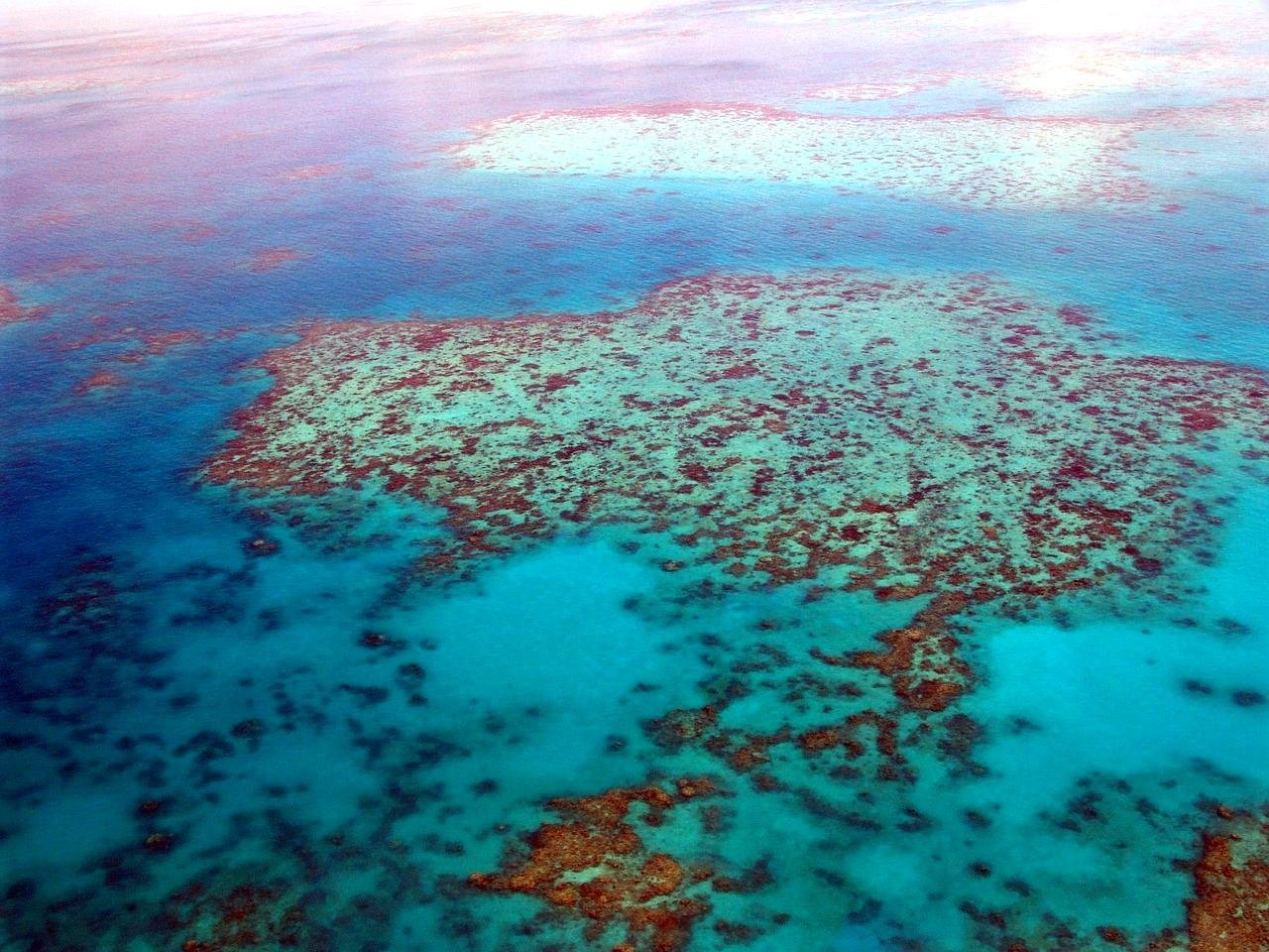 A World Heritage Wonder