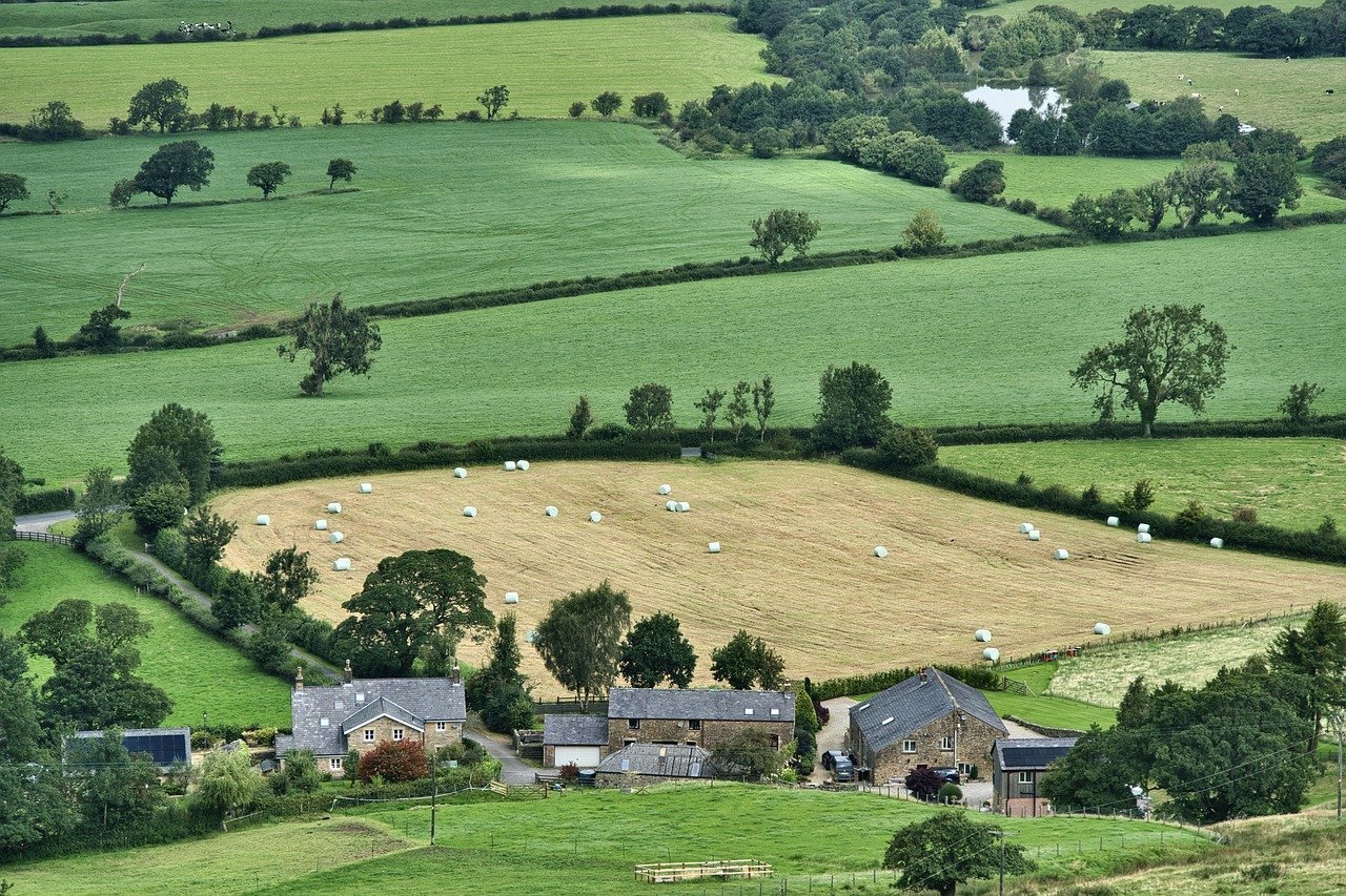 Farm Stays: Rustic Rejuvenation