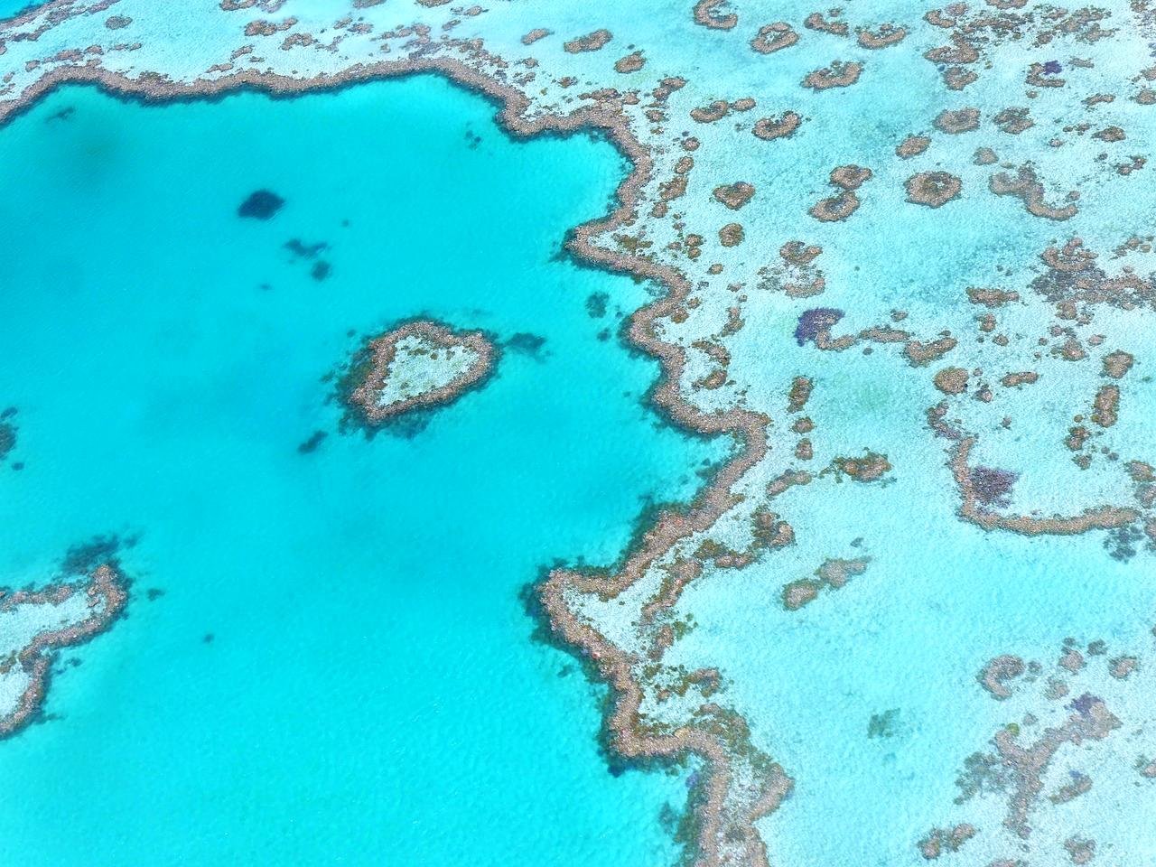 Ancient Indigenous Connection