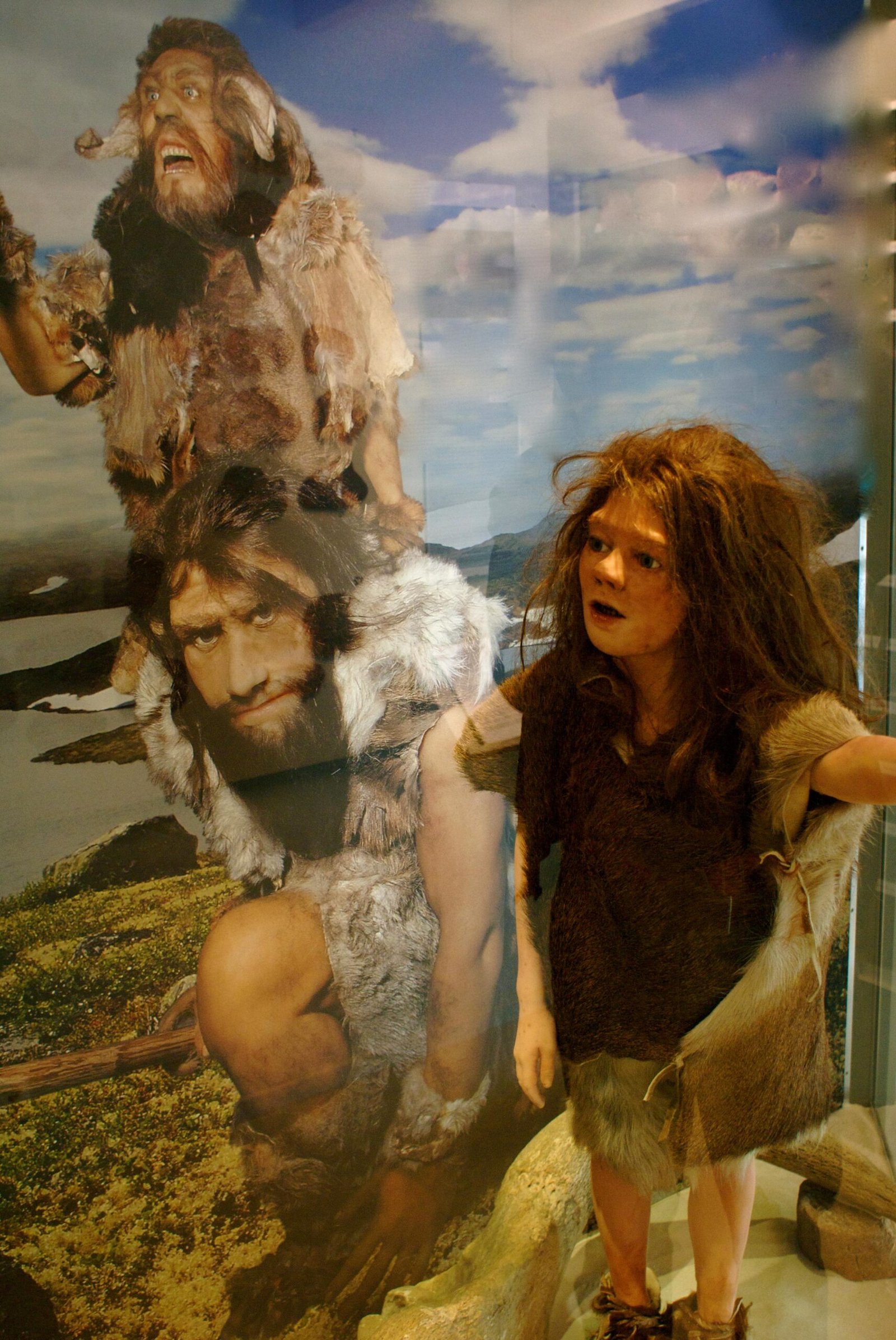 The Ice Age Companions: A Brief Introduction