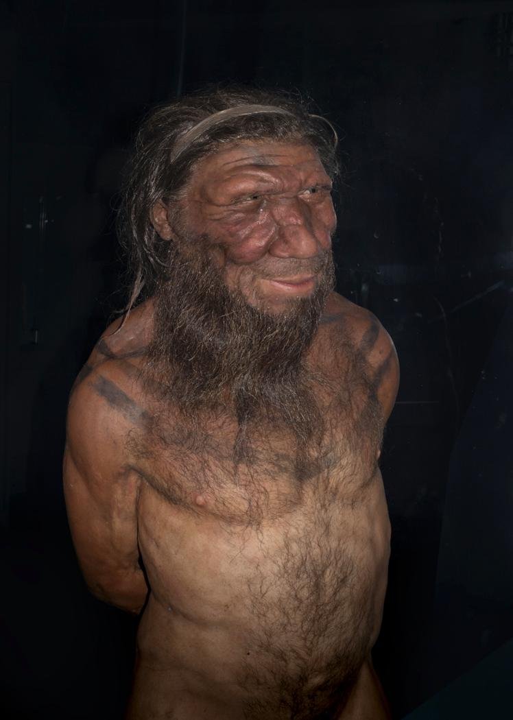 Evidence in the Modern Human Genome