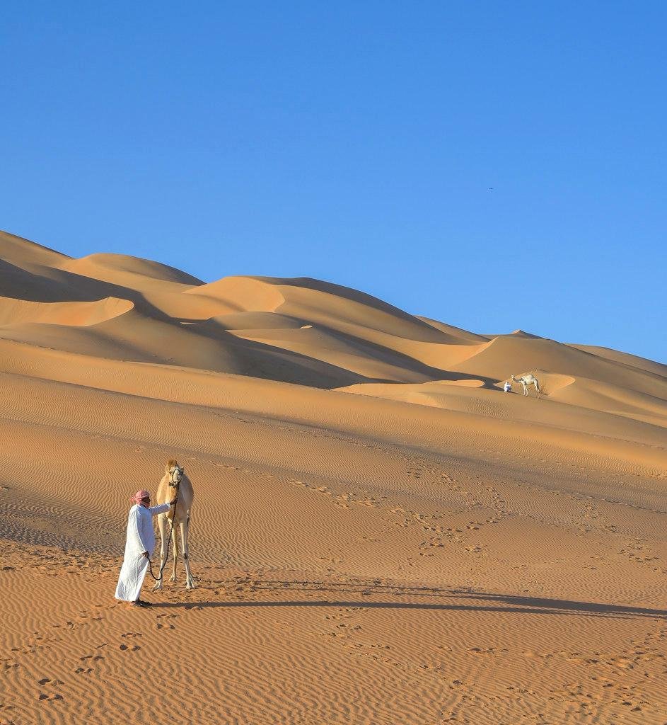 The Arabian Desert: Rub' al Khali and Beyond