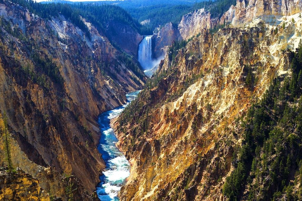 The Grand Canyon of Yellowstone
