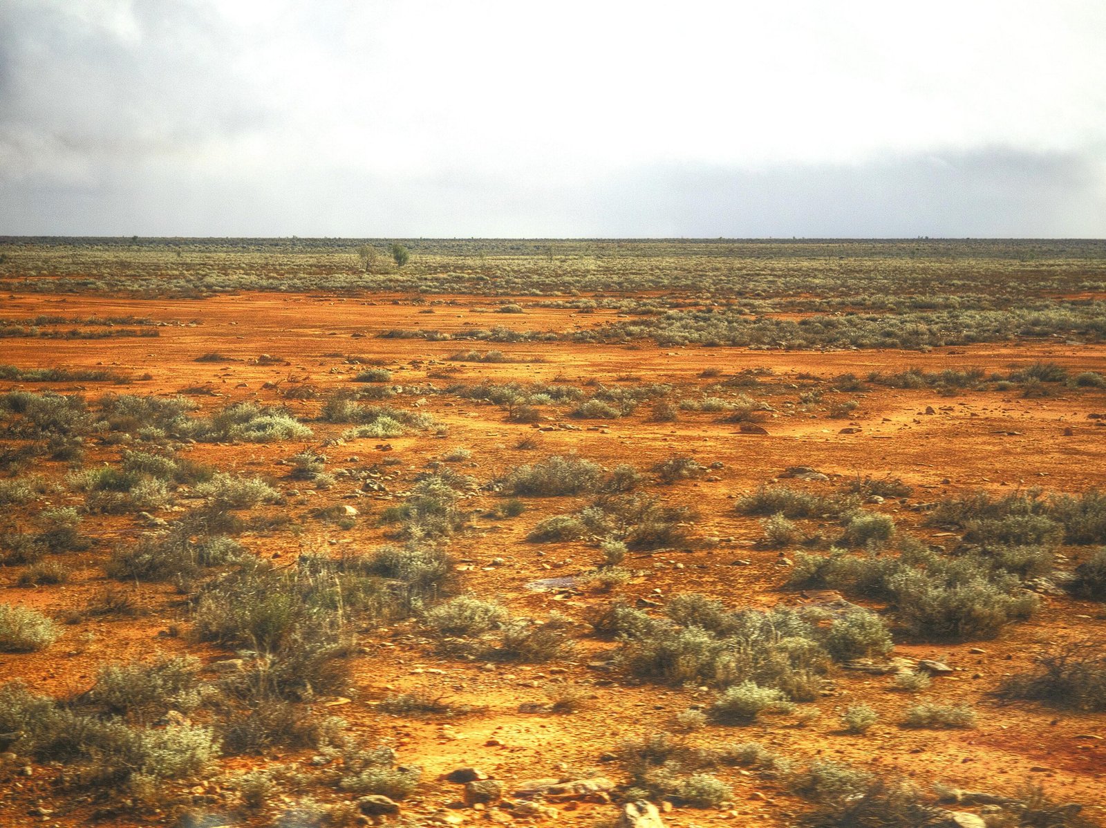 The Great Victoria Desert: Australia's Arid Beauty