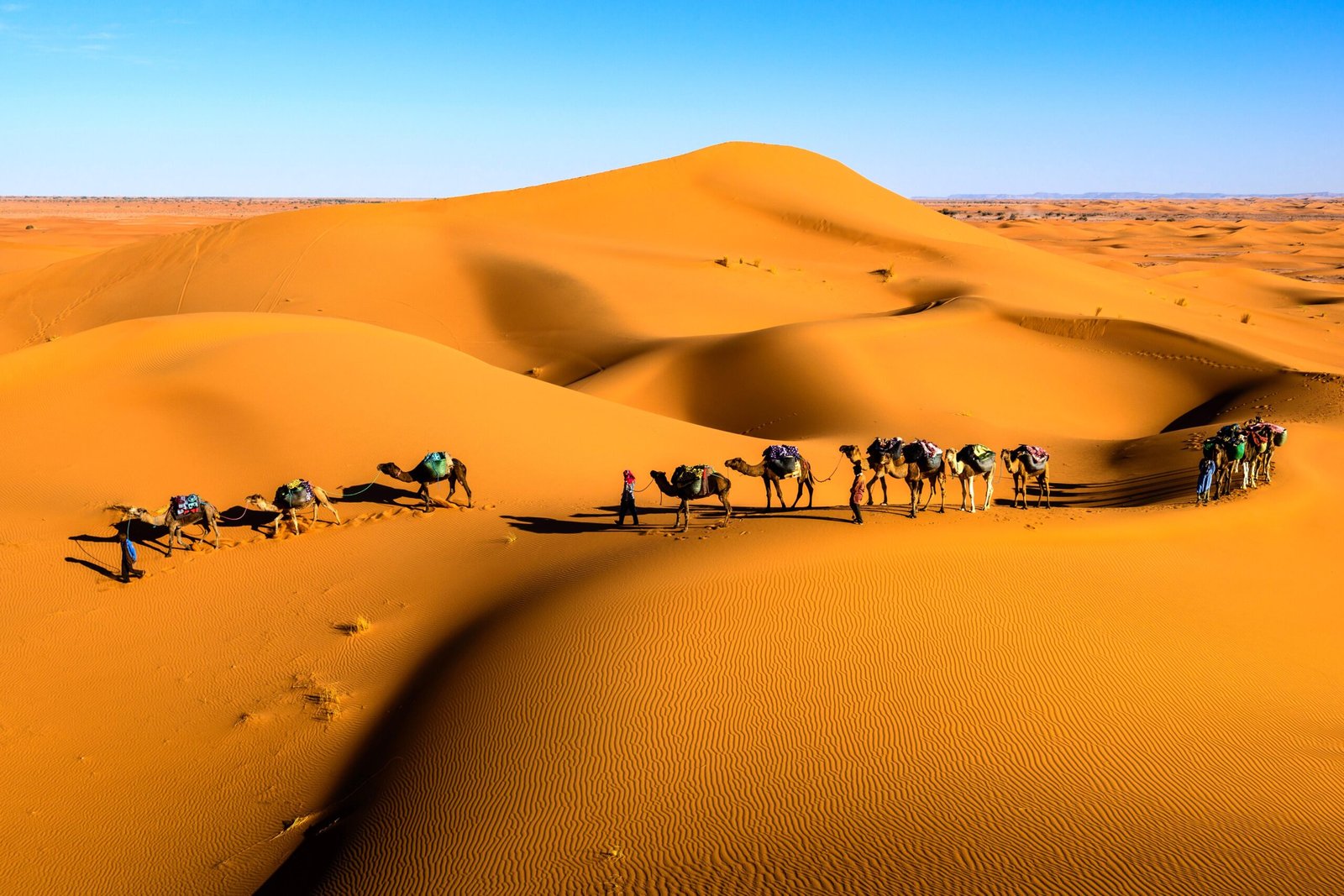 The Sahara Desert: Waves of Sand