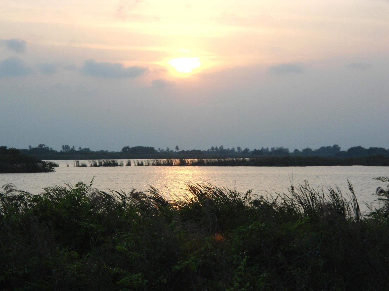 Pantanos de Centla, Mexico