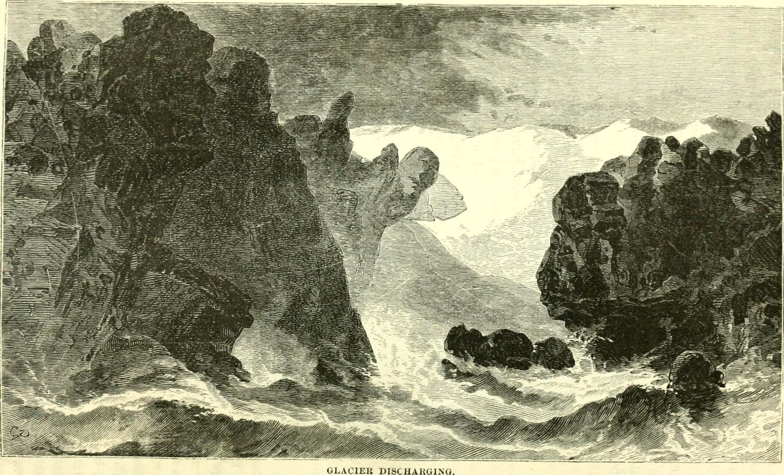 Antarctica Was Once Tropical