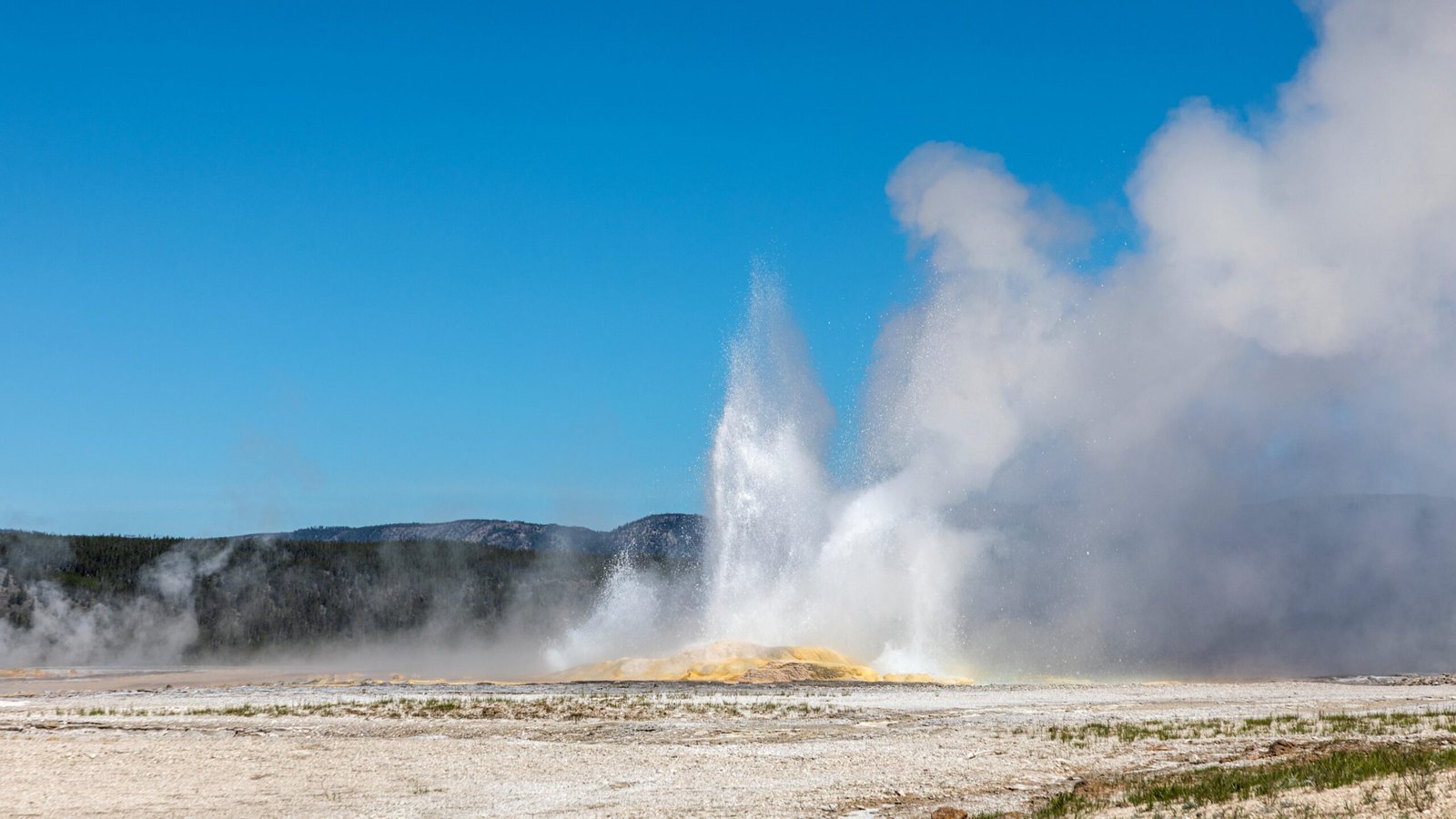 Home to Half the World’s Geysers