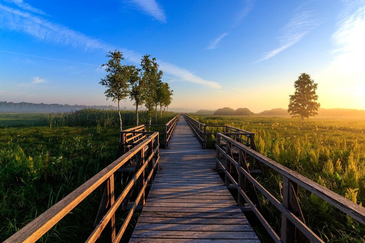 Iberá Wetlands, Argentina