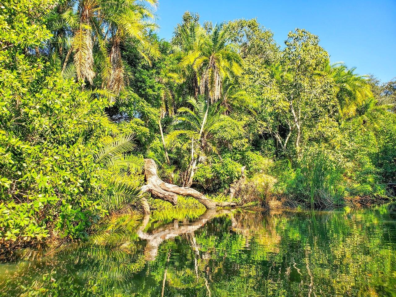 Esteros del Iberá, Argentina