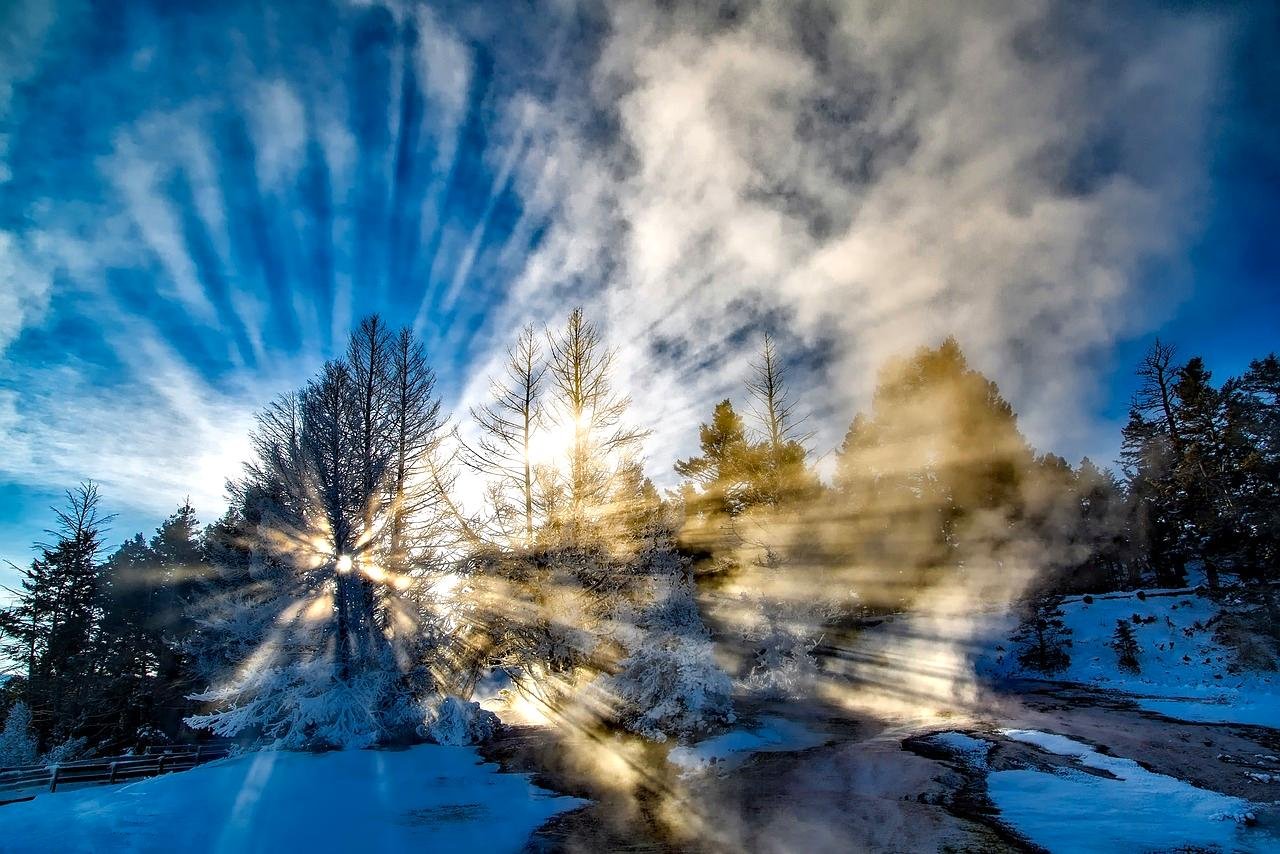A Winter Wonderland