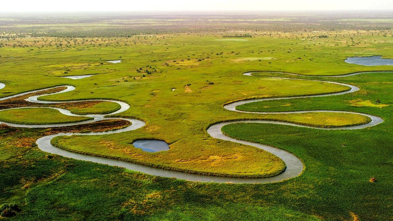 Orinoco Delta, Venezuela