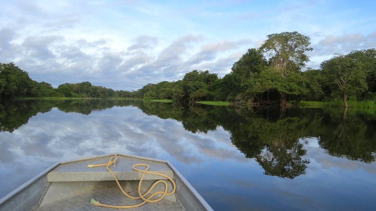 Amazon Rainforest, Peru