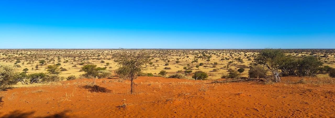 The Kalahari Desert: Pulsing with Life