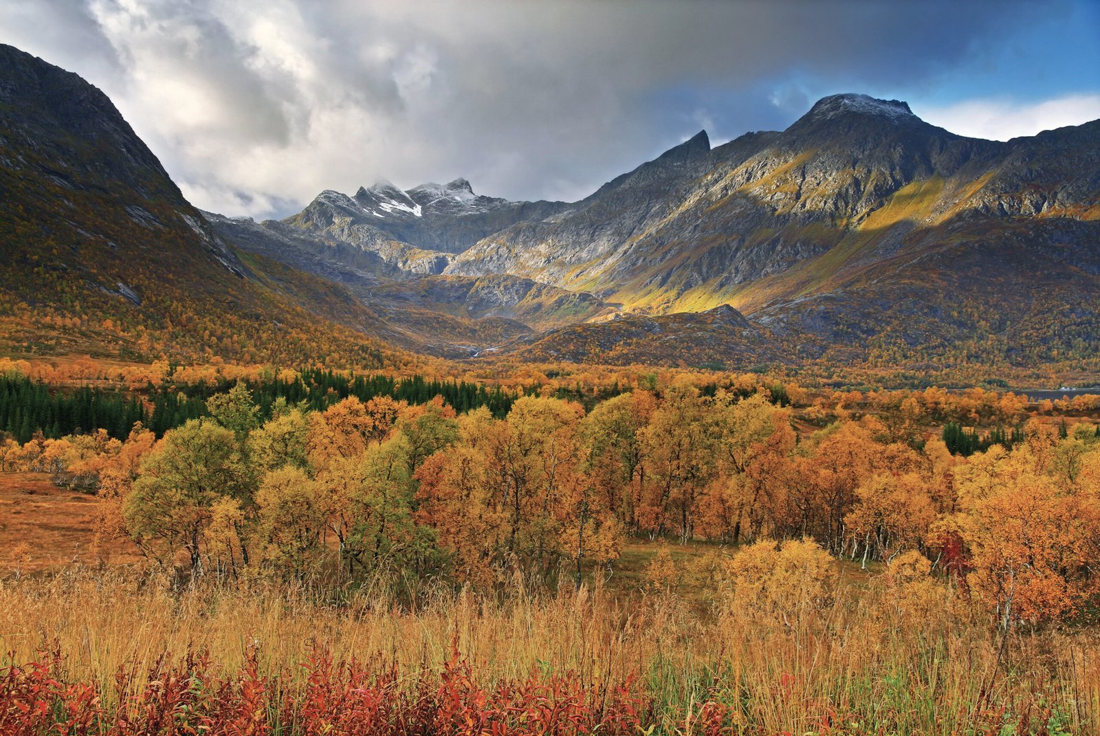 Wilderness Areas: A Sanctuary for Nature Lovers