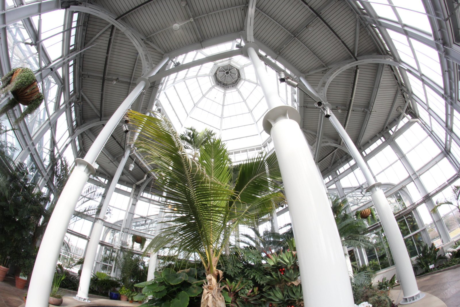 Lewis Ginter Botanical Garden – Richmond, Virginia