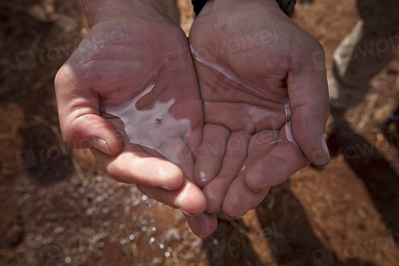Water Pollution
