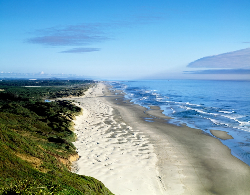 Damage to Dunes and Coastal Vegetation