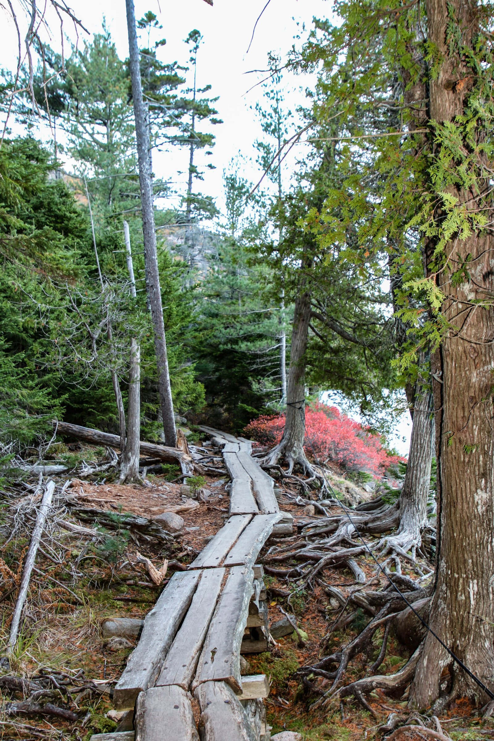 Acadia National Park’s Jordan Pond Path (Maine)