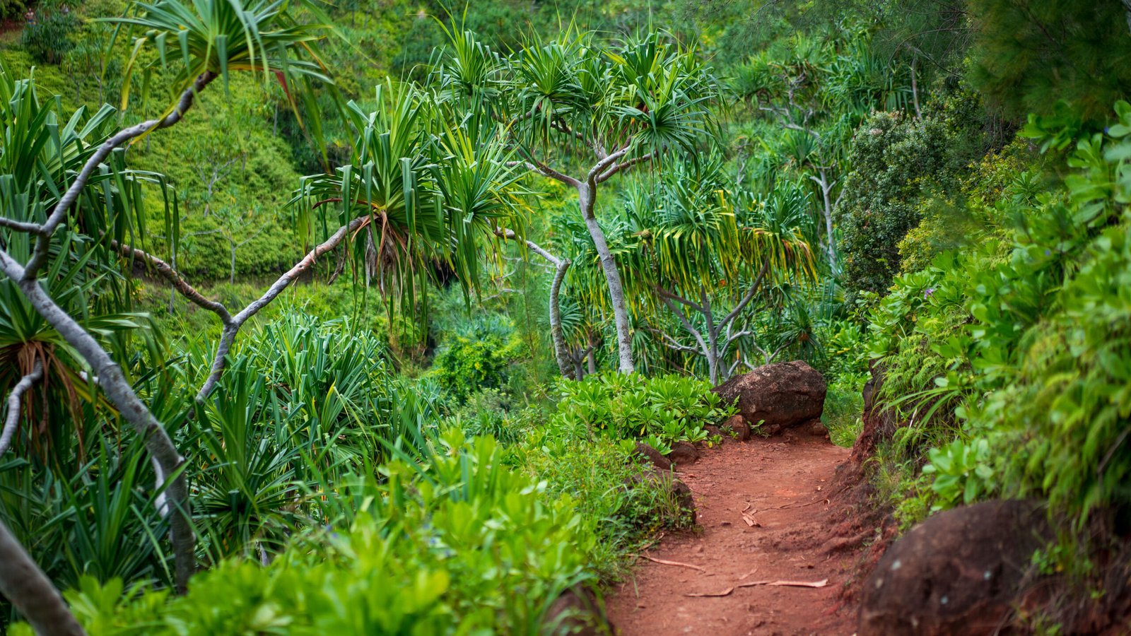 Kalalau Trail (Kauai, Hawaii)