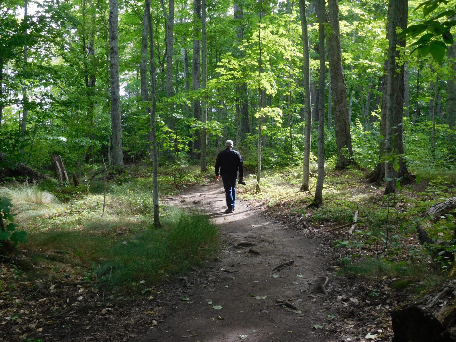 Pictured Rocks Lakeshore Trail (Michigan)