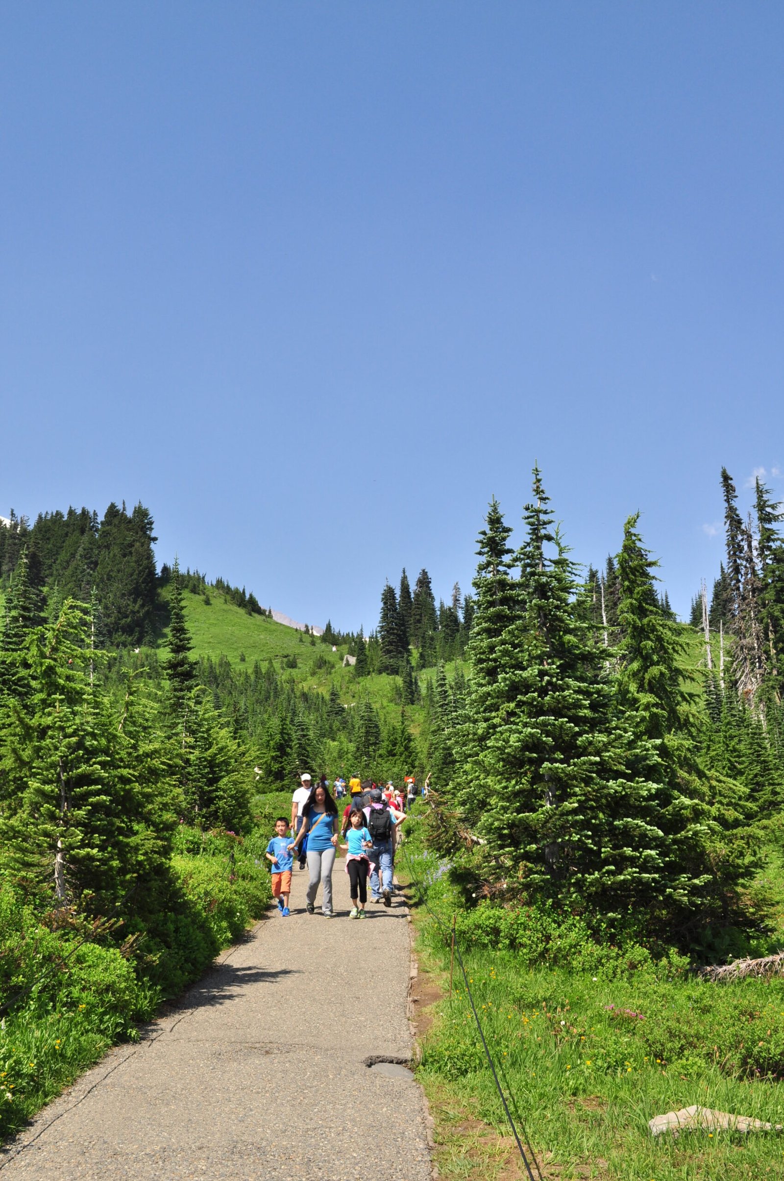 Mount Rainier’s Skyline Trail (Washington)