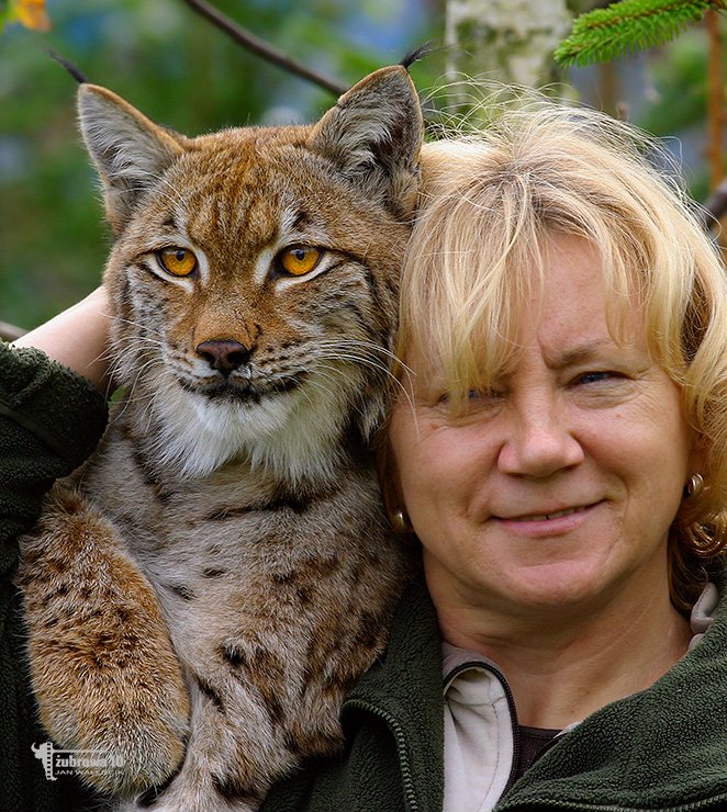 The Top 10 Travel Documentaries That&rsquo;ll Spark Wanderlust