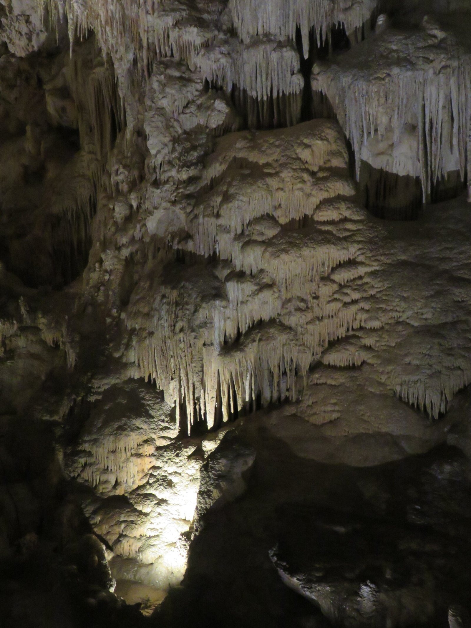 7 Offbeat U.S. Travel Adventures That Deliver Big on Thrills