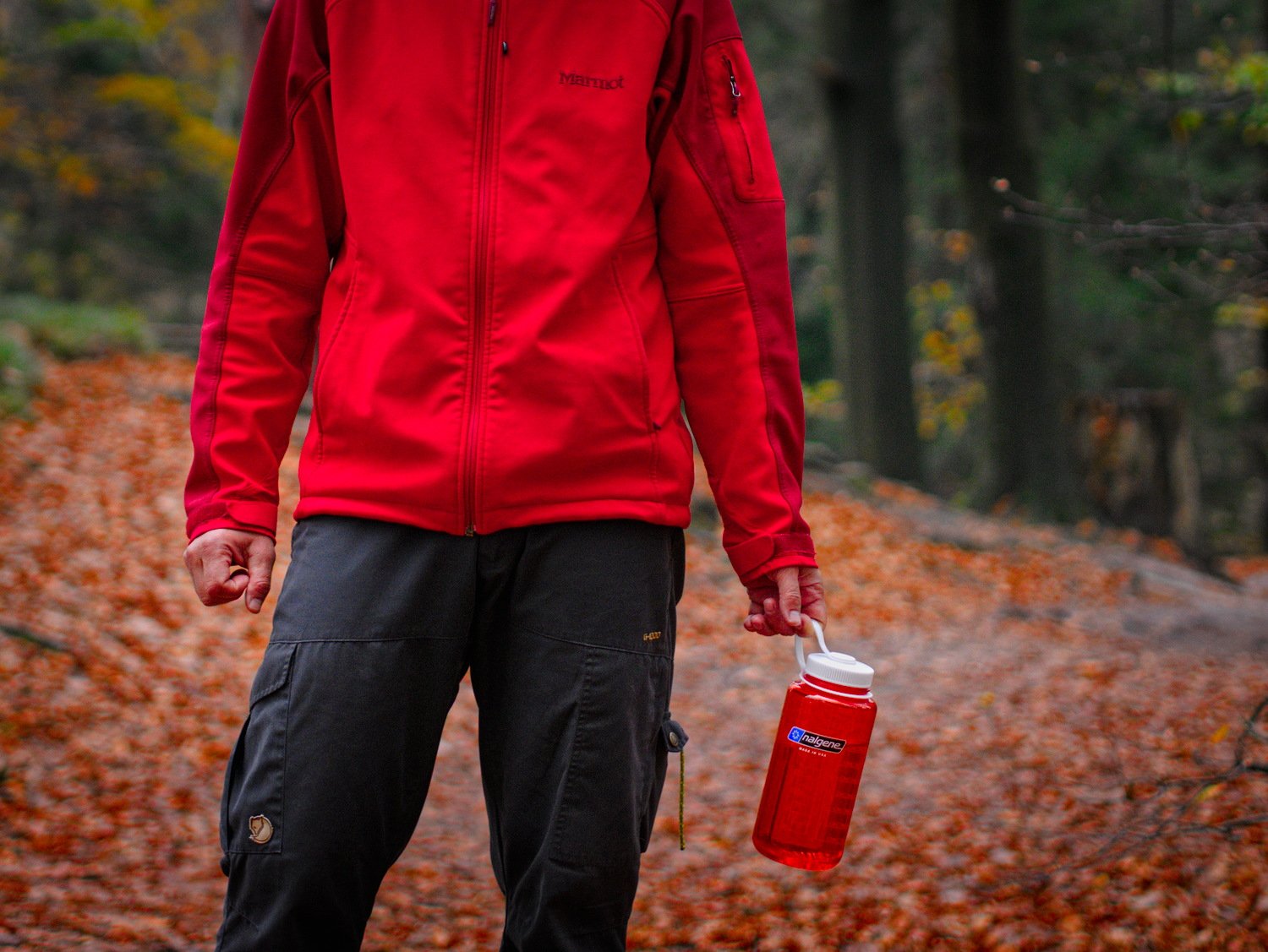 How to Travel Sustainably Without Sacrificing Comfort