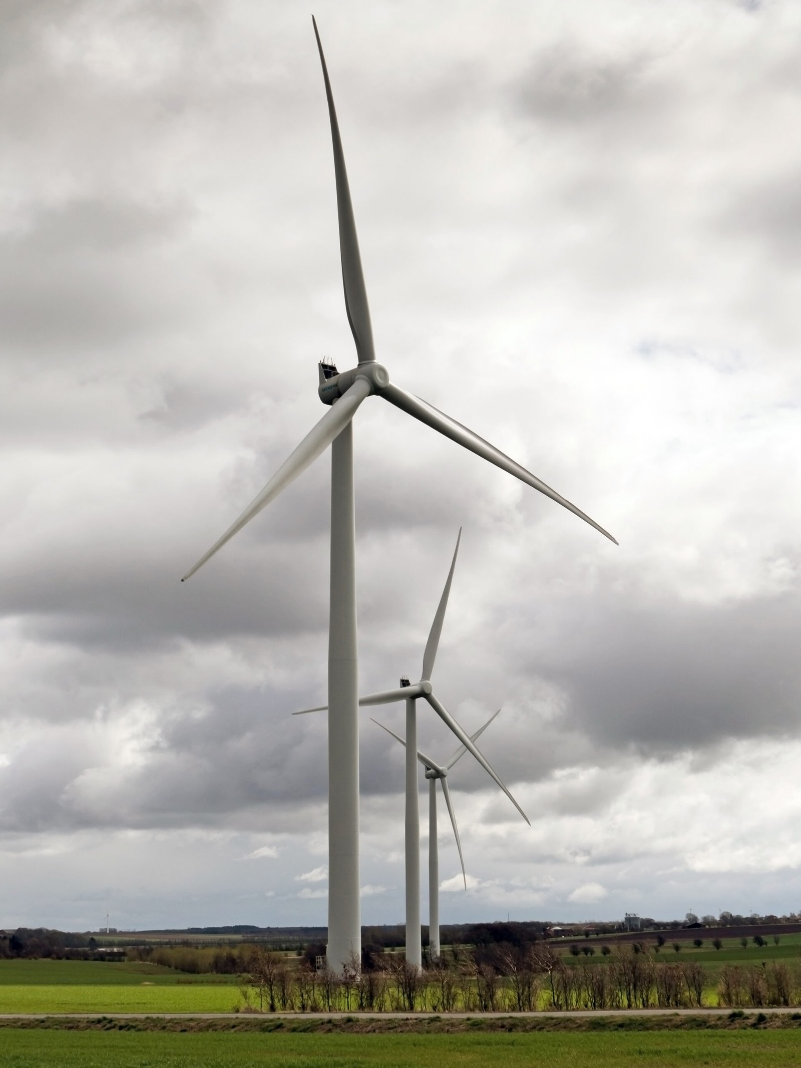 Top 6 Environmentally Friendly Countries and 3 That Miss the Mark