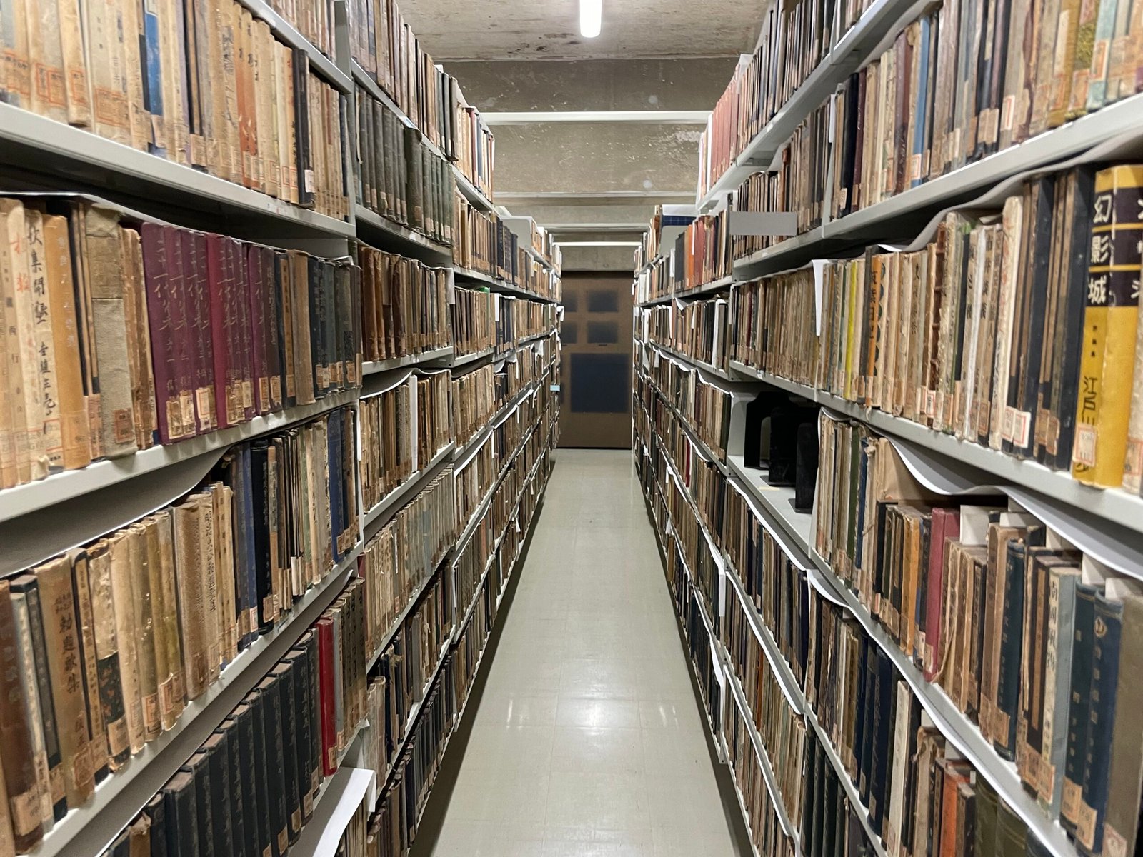 Human Skin-Bound Book Discovered in Museum Office