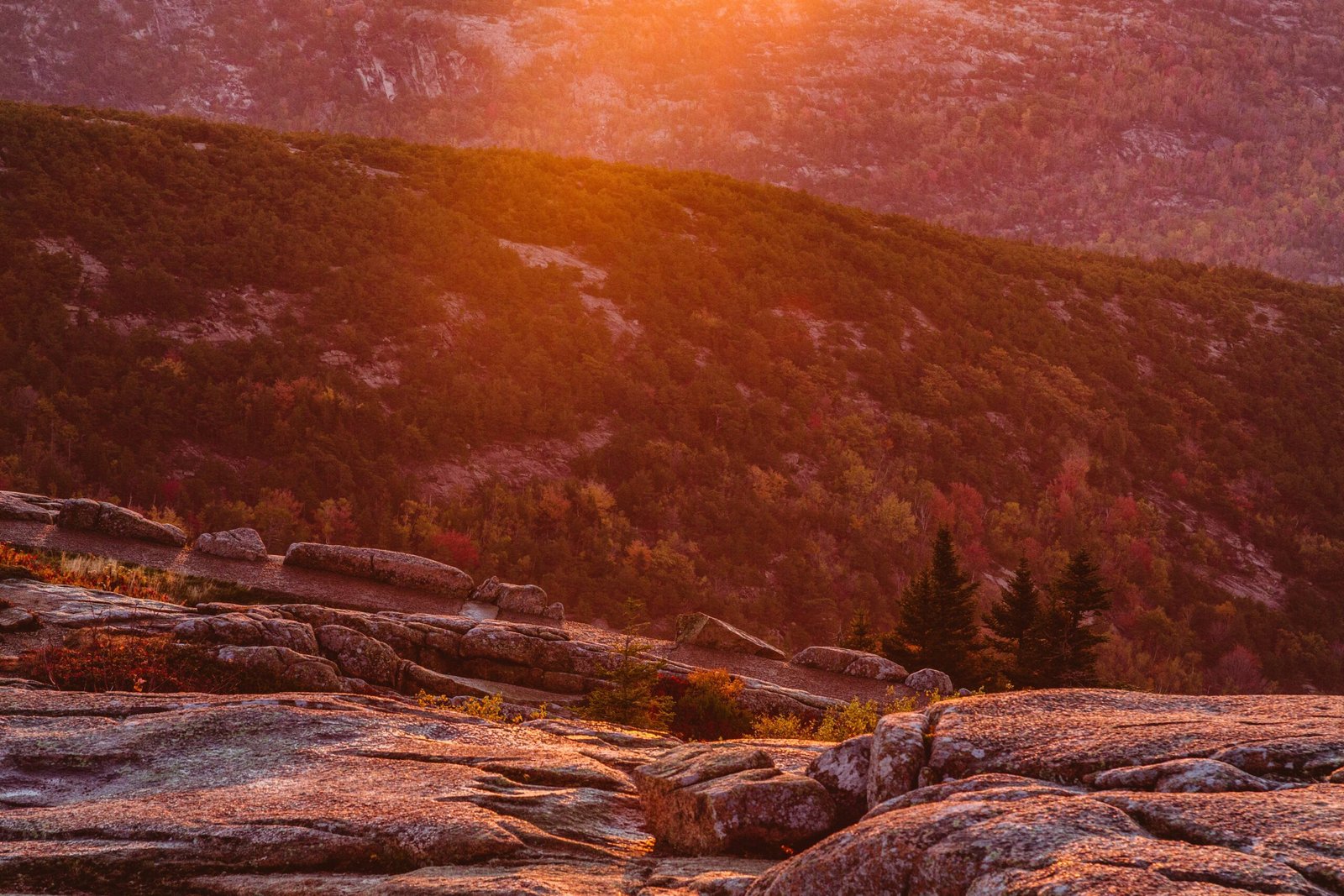 The 7 Most Overwhelmed National Parks in North America Right Now