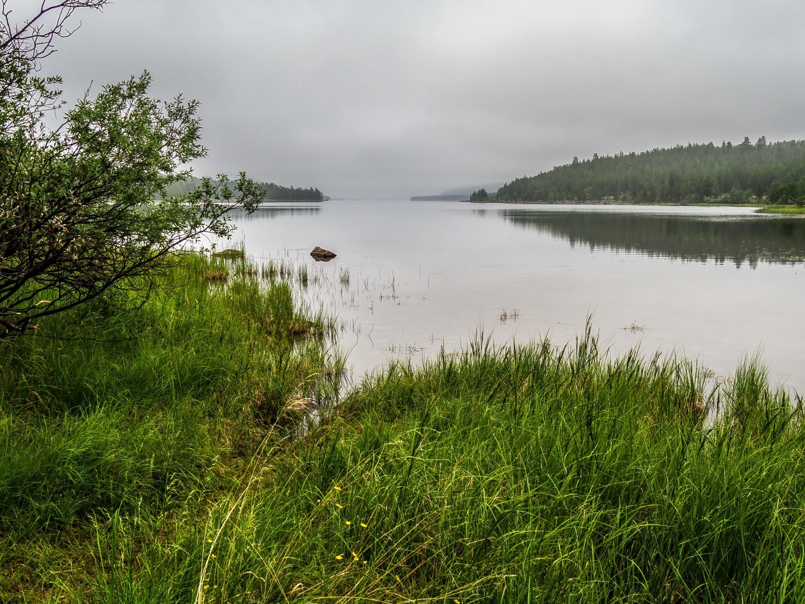 8 Greenest Countries to Visit And 2 That Still Pollute