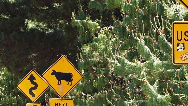 17 US Vacation Spots That Look Better on Instagram Than in Real Life