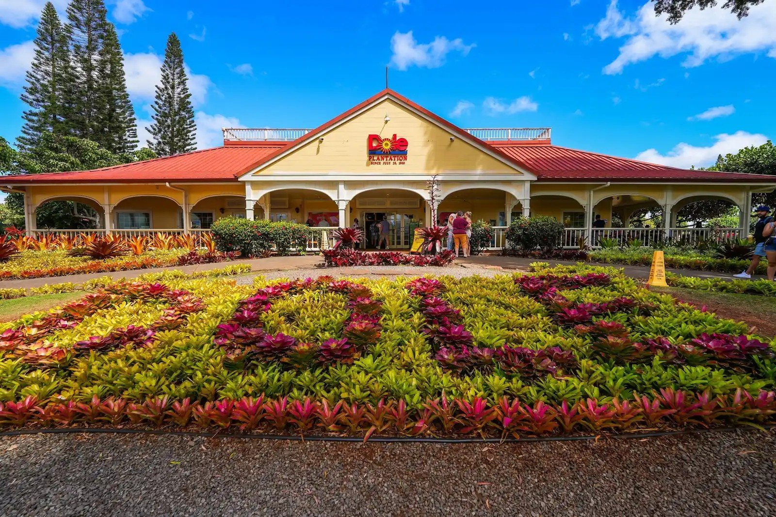 8. Dole Plantation, Hawaii (Image Credits: Shutterstock)