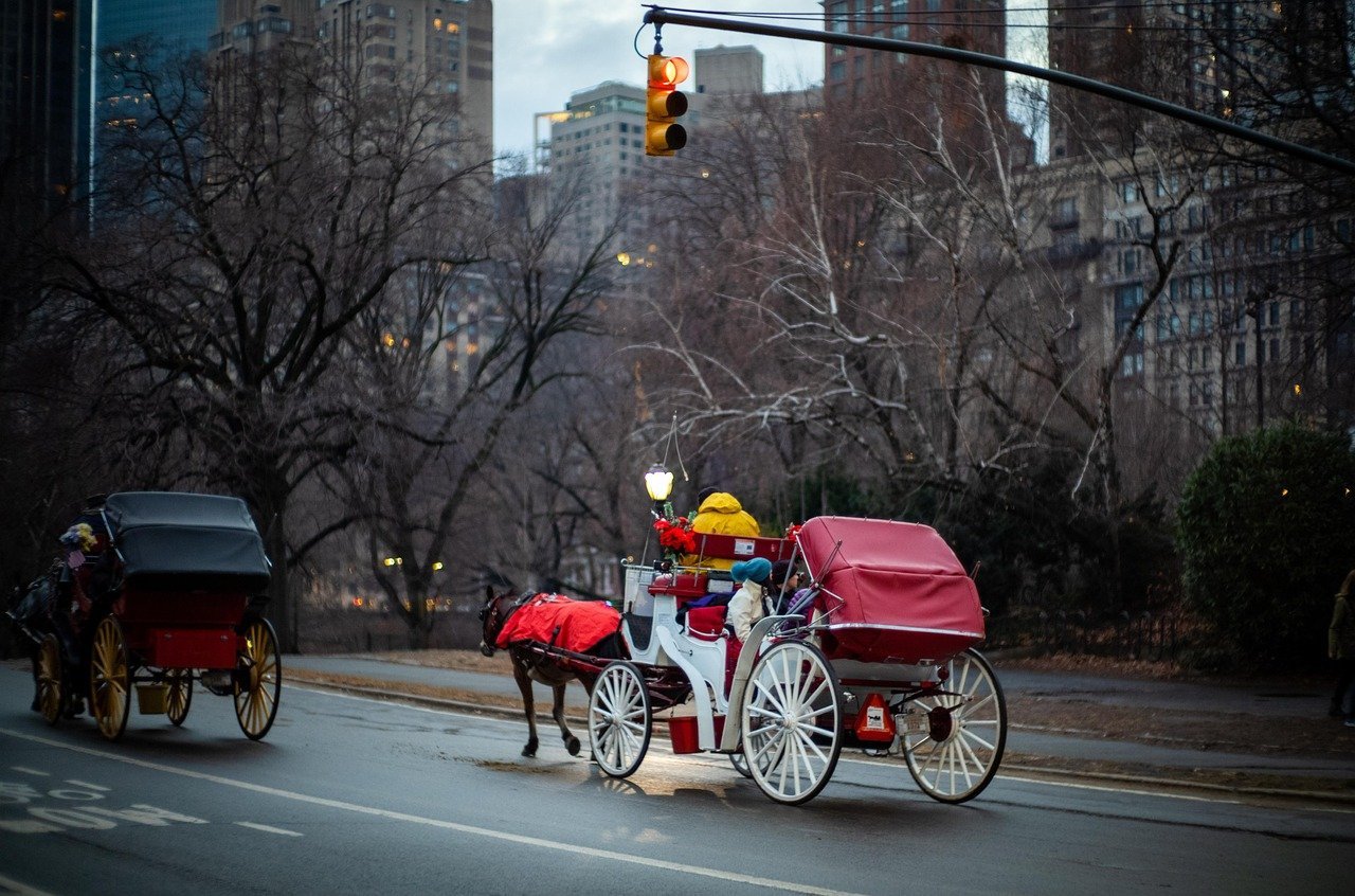 19. Central Park Carriage Rides, New York City (Image Credits: Pixabay)