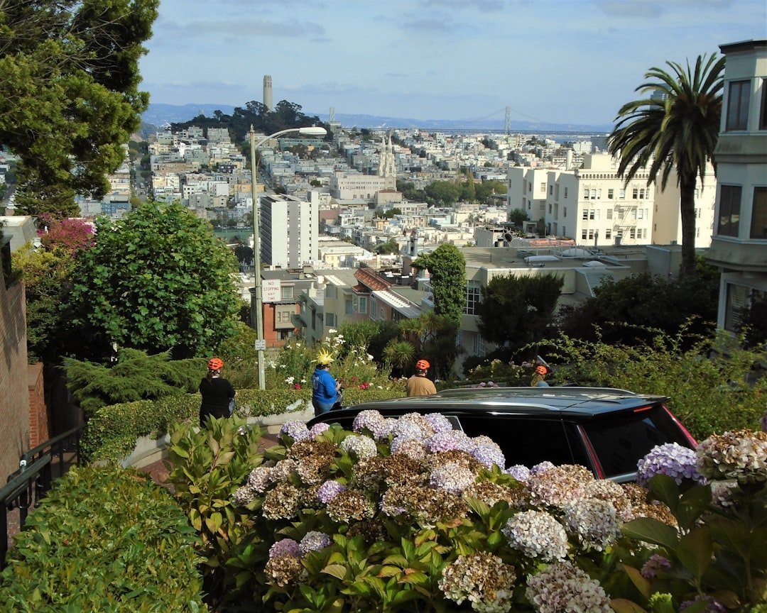 15. Lombard Street, San Francisco, CA (Image Credits: Unsplash)