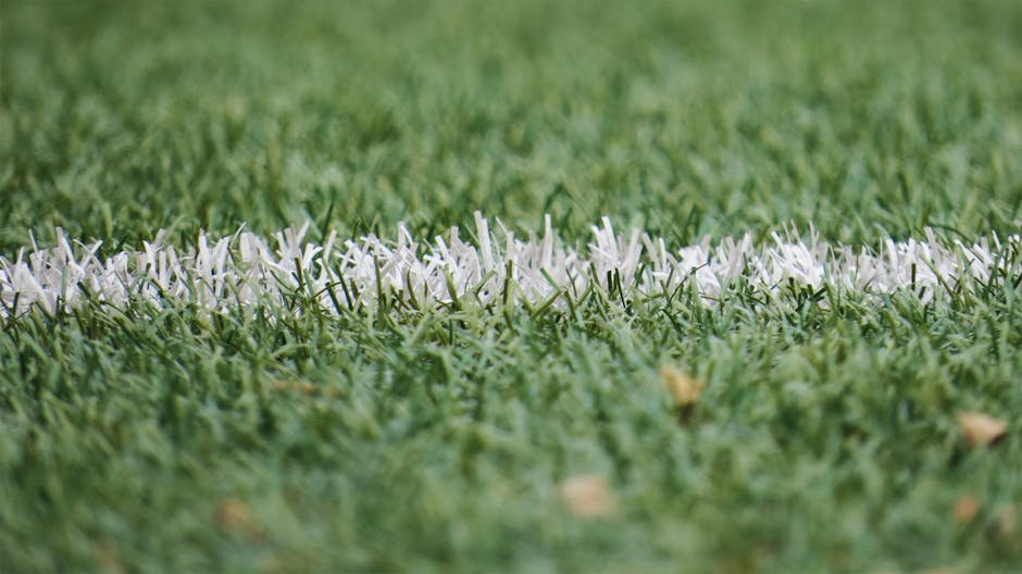 3. Installing Artificial Turf Without Checking First (Image Credits: Pexels)