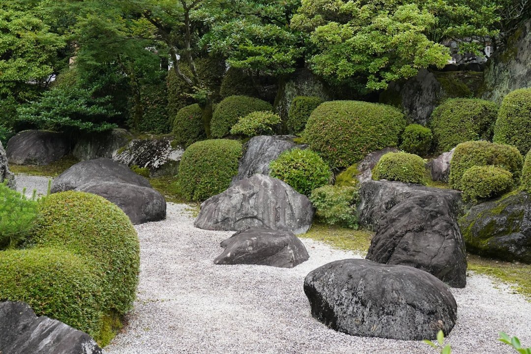 6. Adding Decorative Rocks or Colored Gravel (Image Credits: Unsplash)