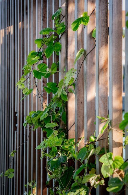 8. Planting Vining Plants on Your Fence or Wall (Image Credits: Pexels)
