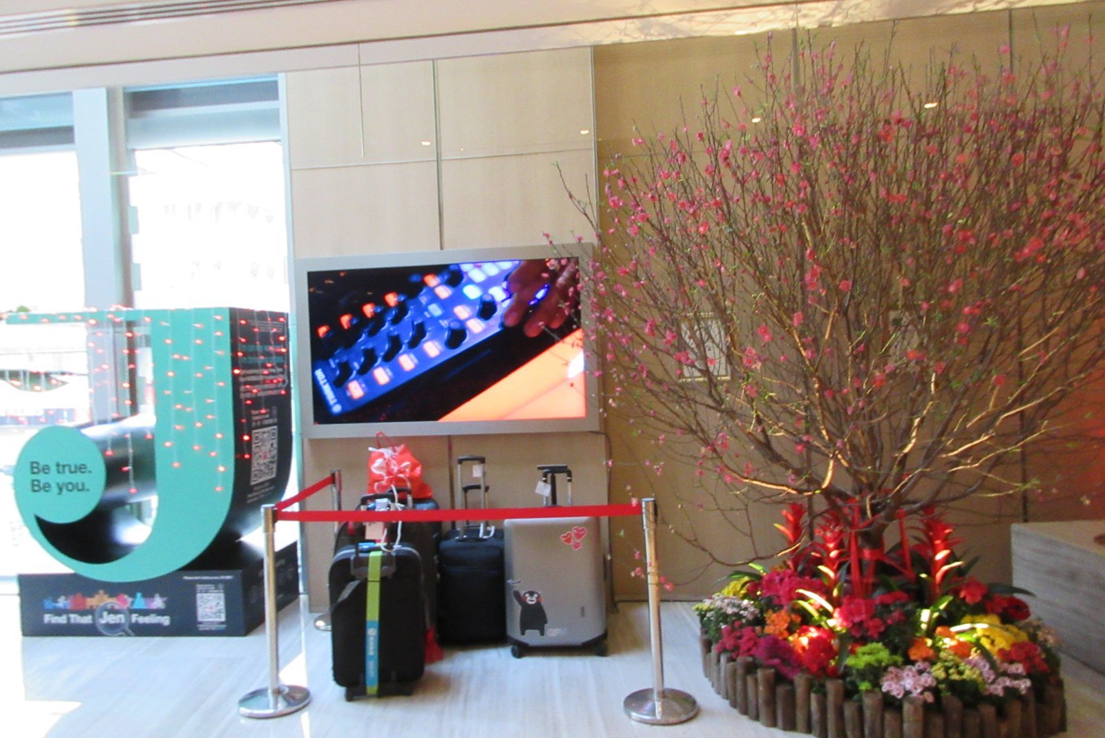 17. Baggage Holding Fee (By Hismallaia, CC BY-SA 4.0)