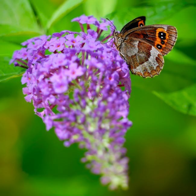 10. Butterfly Bush (Image Credits: Pexels)
