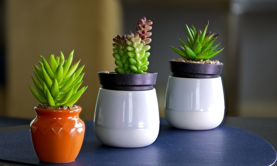 17. Painted or Spray-Dyed Succulents (Image Credits: Unsplash)