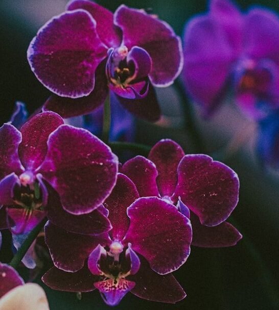 Nursery Workers Beg Homeowners to Stop Buying These 19 &lsquo;Money-Pit&rsquo; Plants