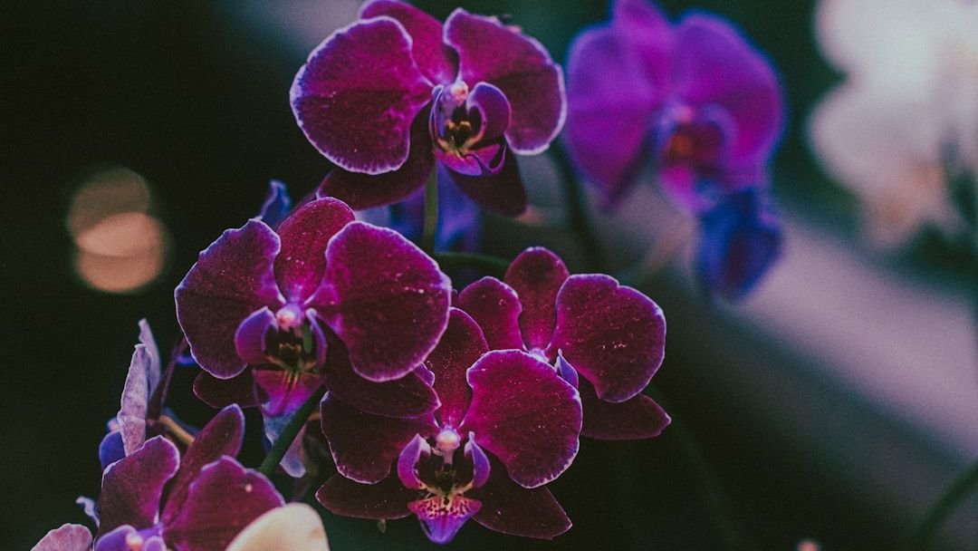 Nursery Workers Beg Homeowners to Stop Buying These 19 &lsquo;Money-Pit&rsquo; Plants