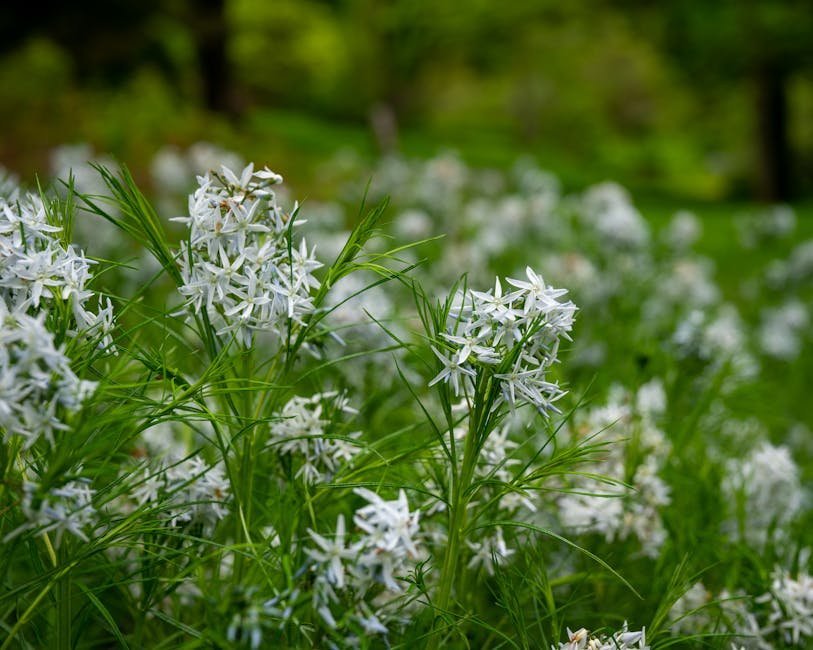 27. Threadleaf Bluestar (Amsonia hubrichtii) (Image Credits: Pexels)