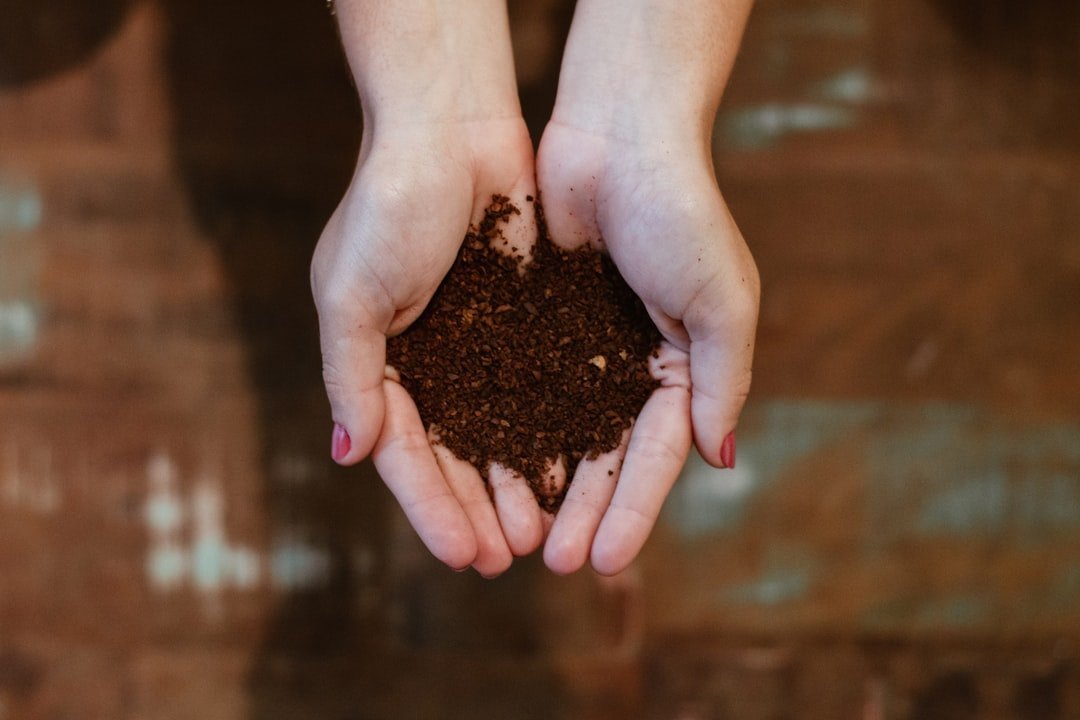 4. Sprinkling Coffee Grounds Everywhere to Acidify Soil (Image Credits: Unsplash)