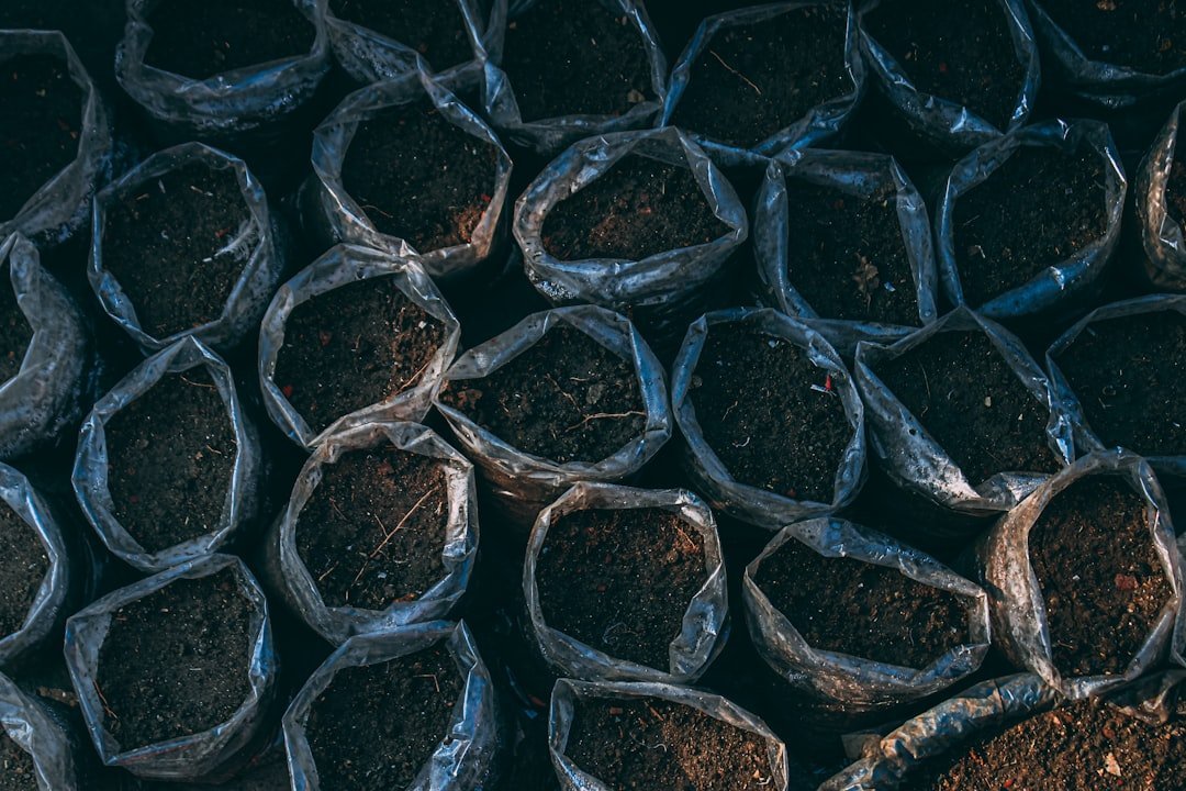 12. Assuming "Bought Topsoil" Is Ready to Plant In (Image Credits: Unsplash)