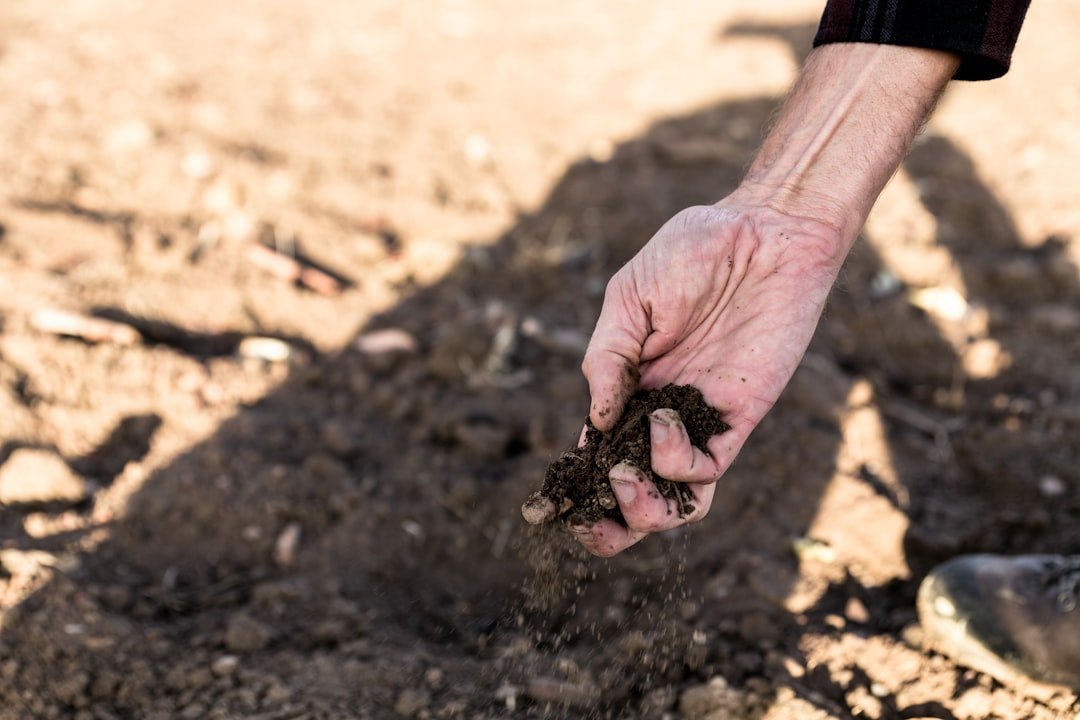 24. Skipping Soil Tests Because "The Garden Looks Fine" (Image Credits: Unsplash)